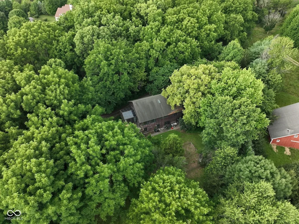 Area view